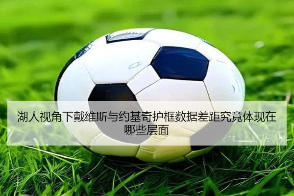 湖人视角下戴维斯与约基奇护框数据差距究竟体现在哪些层面