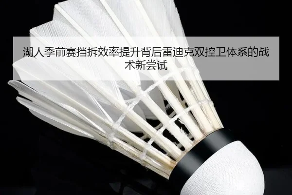 湖人季前赛挡拆效率提升背后雷迪克双控卫体系的战术新尝试